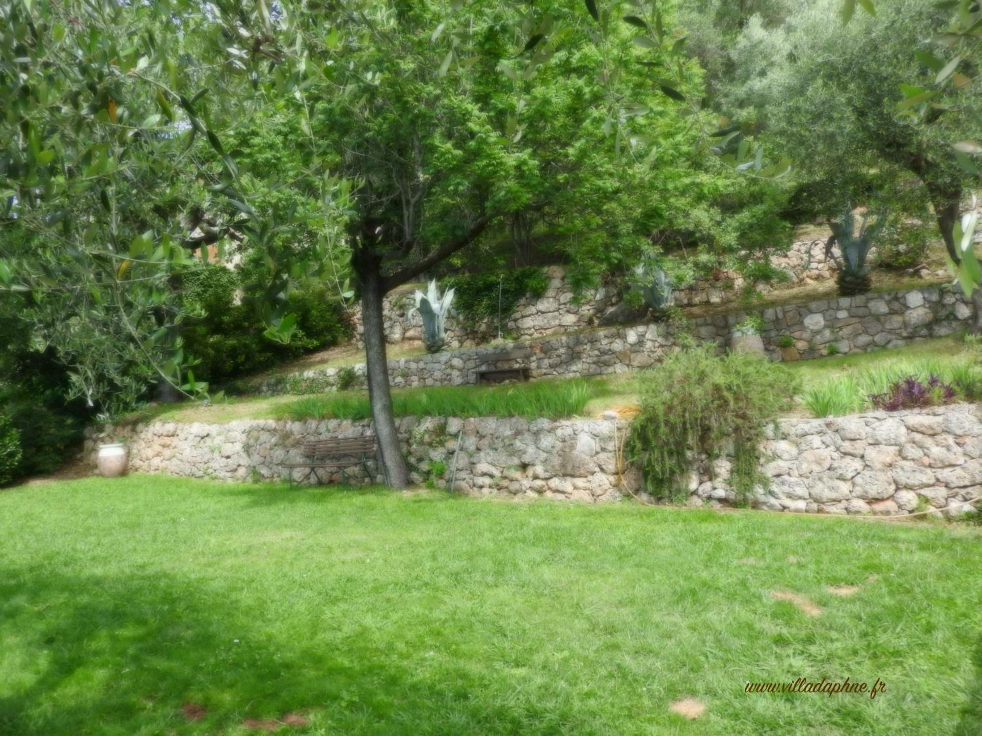 Villa Daphne Spéracèdes Kültér fotó
